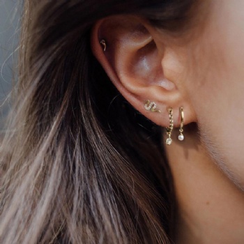 Fashion-Sterling-Silver- Earrings -NE14