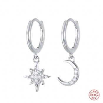 Fashion-Sterling-Silver- Earrings -NE15