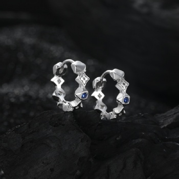 New Arrival Sterling Silver Earrings KDP2085